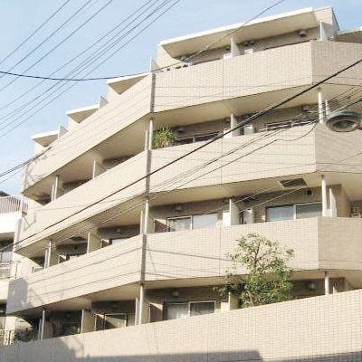 ルーブル都立大学の写真