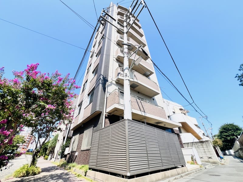 Stella SENDAIZAKAの写真