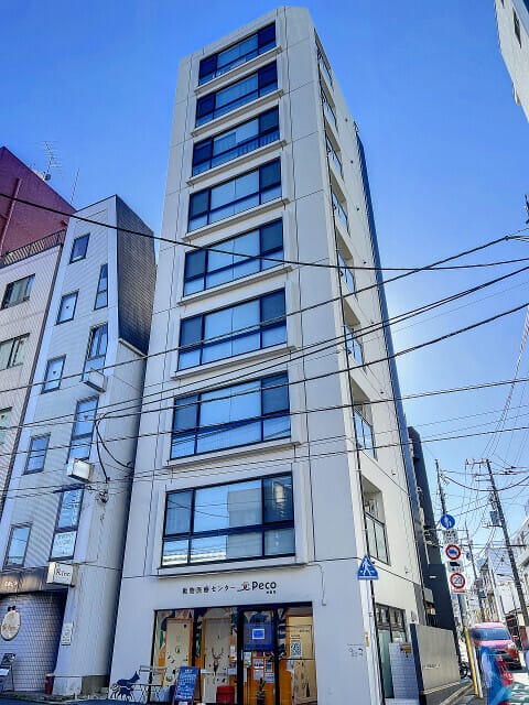 ZEN KAGURAZAKA 601
