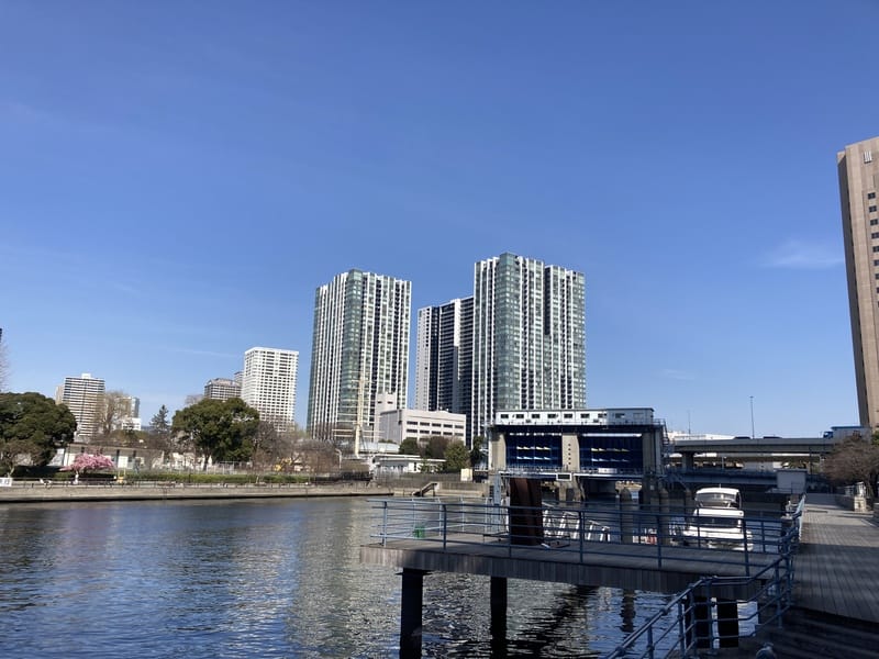 ワールドシティタワーズ キャピタルタワーの写真