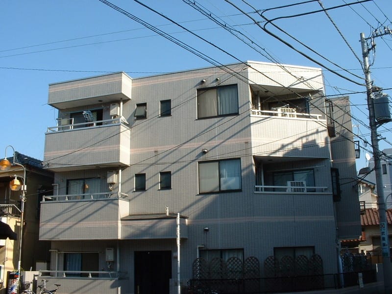 グレイス スギヤマの写真