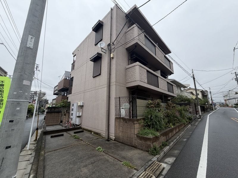 Ever Green 66の写真