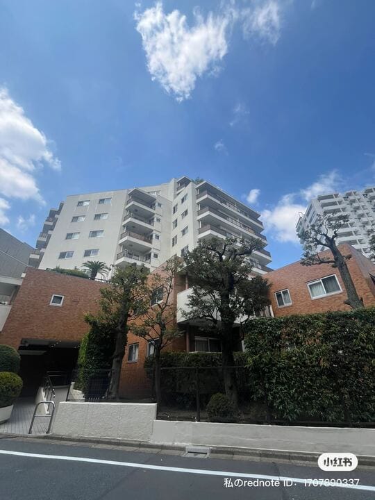 コープ野村一番町の写真