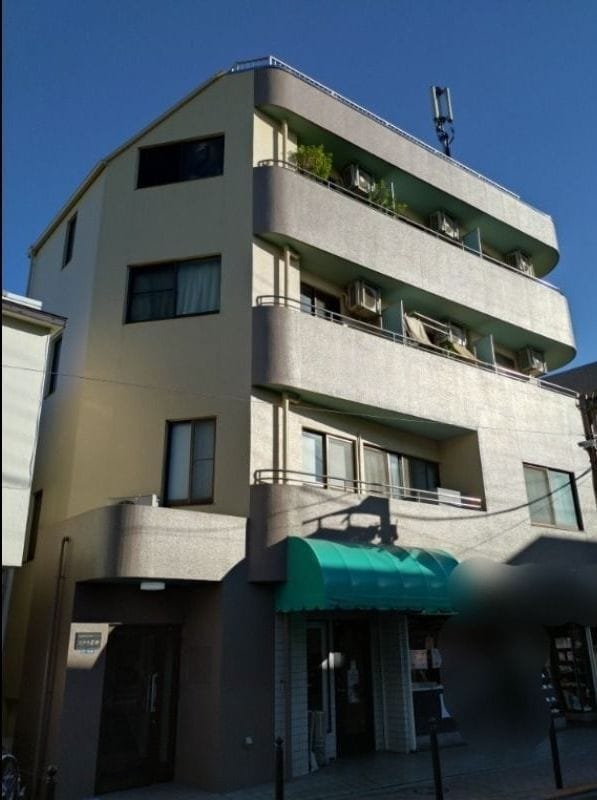 ステラ星野の写真