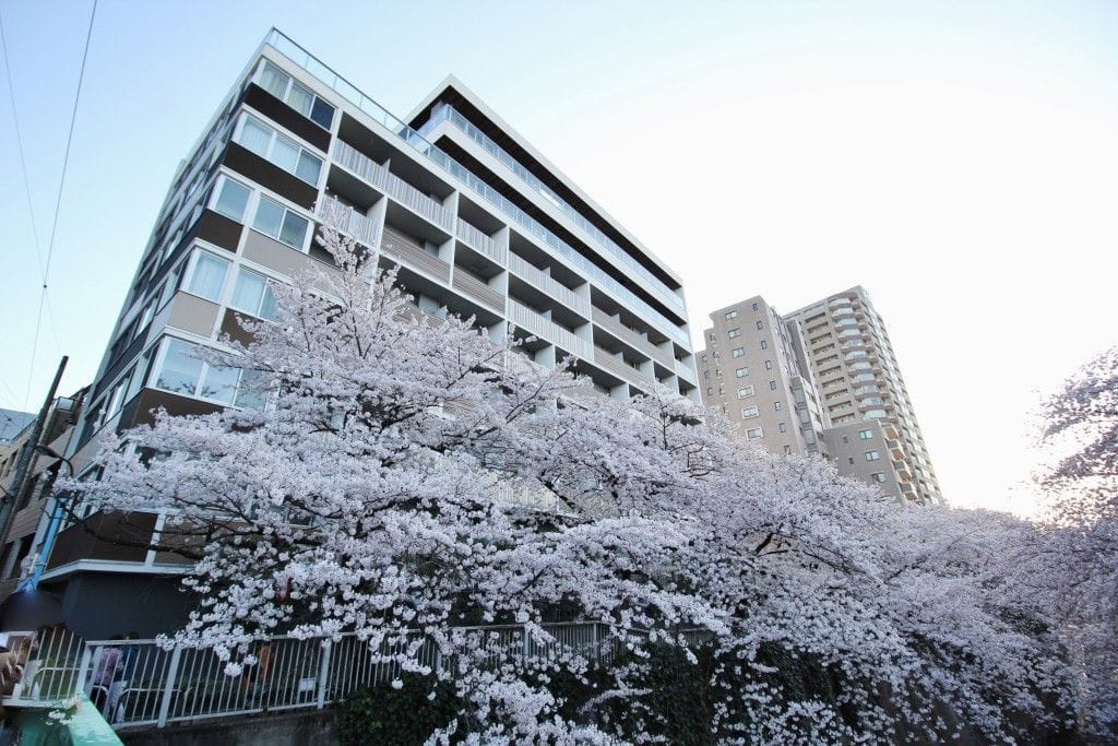 アールコート早稲田の写真