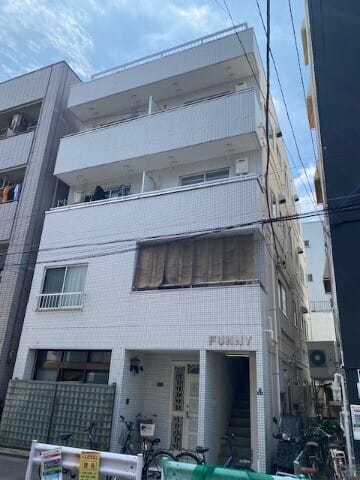 ファニーの写真