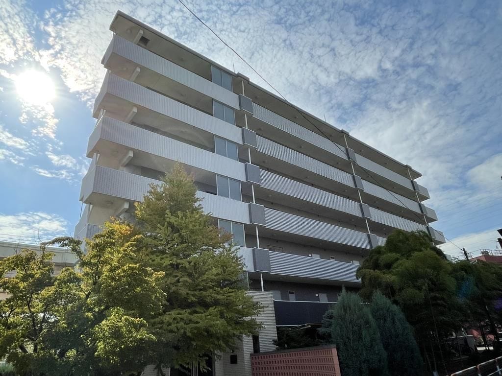 Allies Meadowの写真