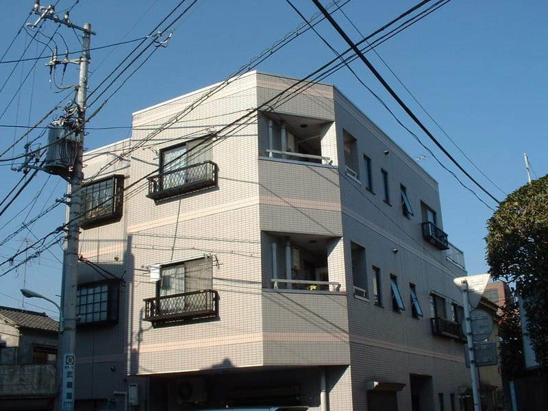 グレイススギヤマの写真