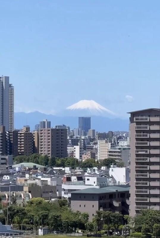 MAXIV scene 北千住 1201号室の写真