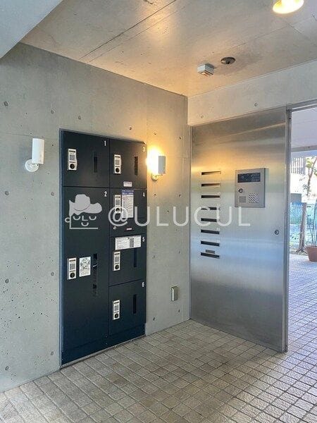 イルミナート白金の写真