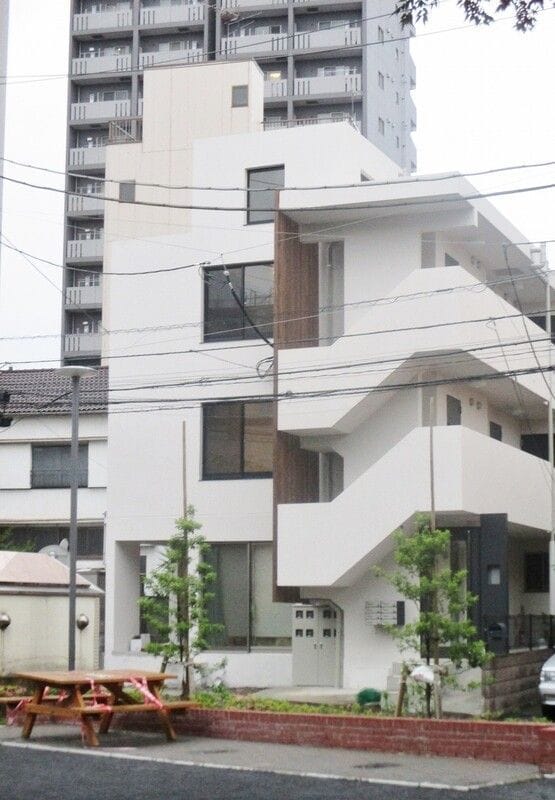 Coruja Brancaの写真