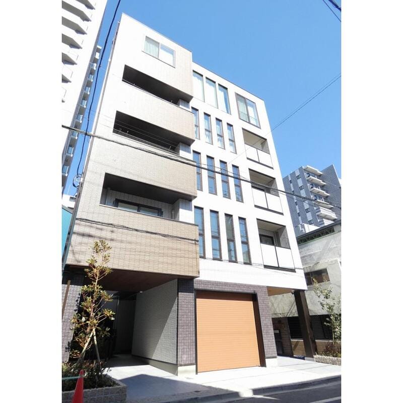 ステラ アフィーテの写真