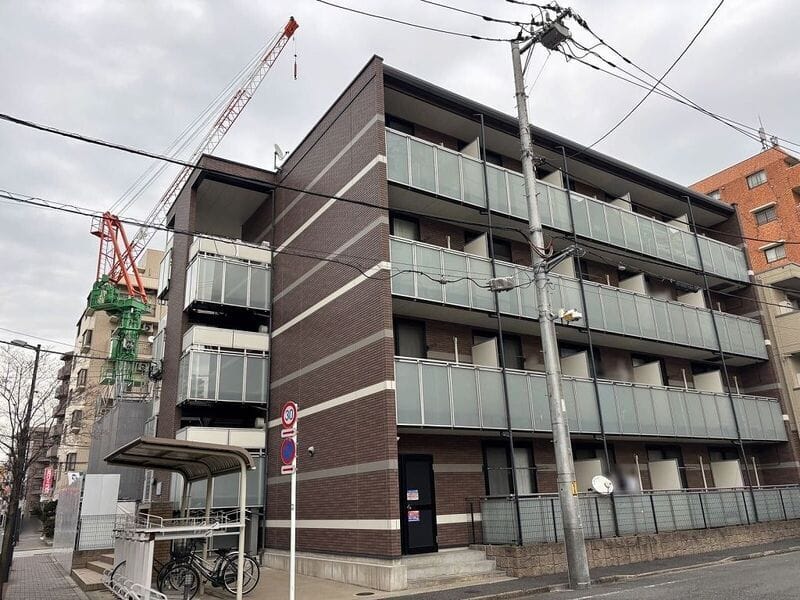 レオネクストシモンズの写真