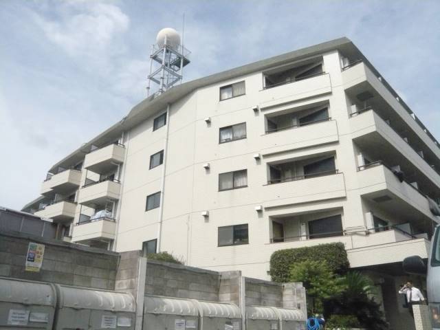 山王ハマセイホウの写真