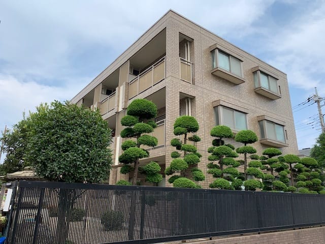 スカイパレス光が丘A棟の写真