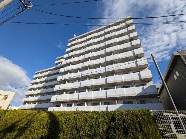 アレックス日乃本の写真