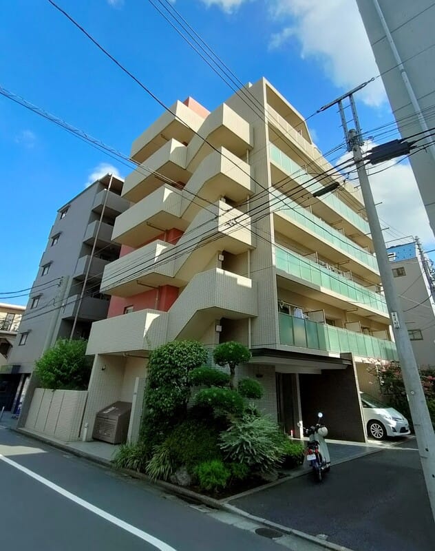 ラウレルの写真