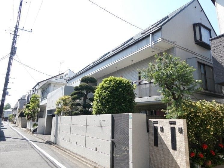 プラムスリーの写真