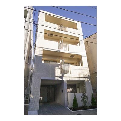 ミズホアルテアの写真