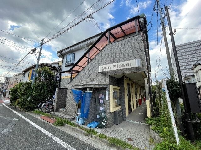 サンフラワーの写真