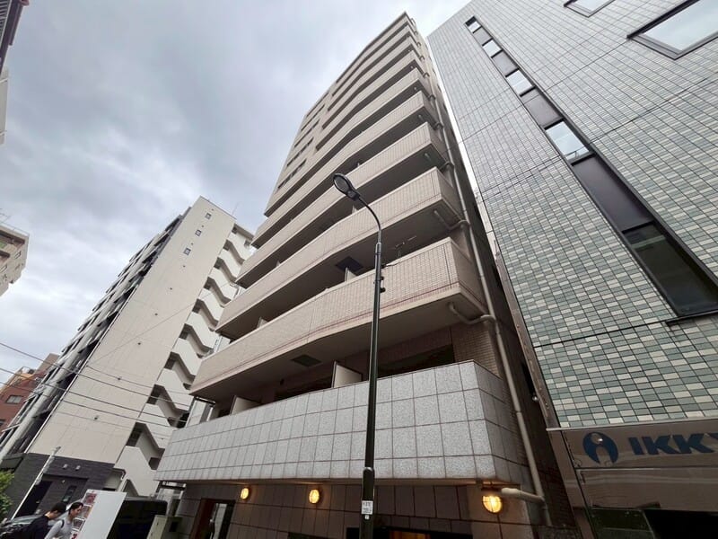 Daisy Courtの写真