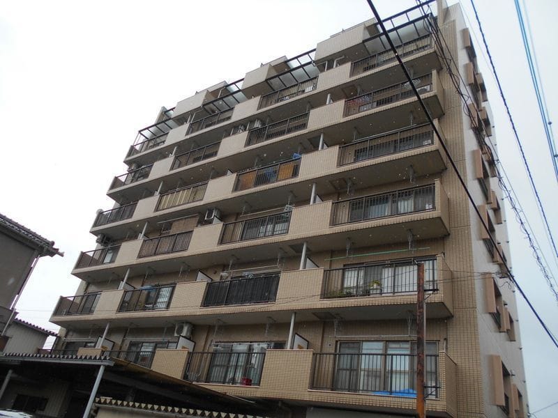 はやせロイヤルの写真