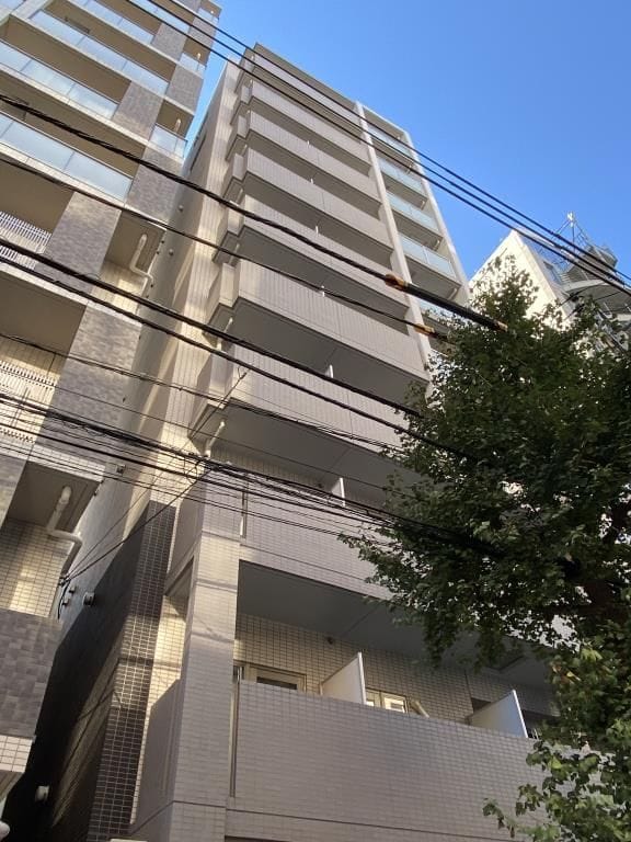 グランディールY.S.の写真