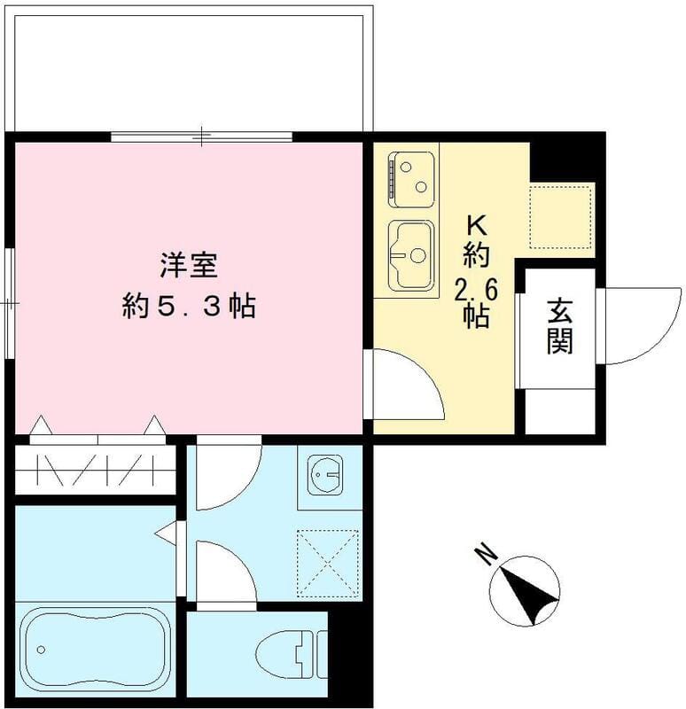 ブエナビスタ二子玉川 101