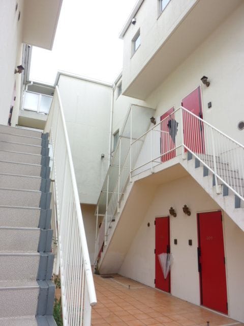 カラクムアチェリア 301