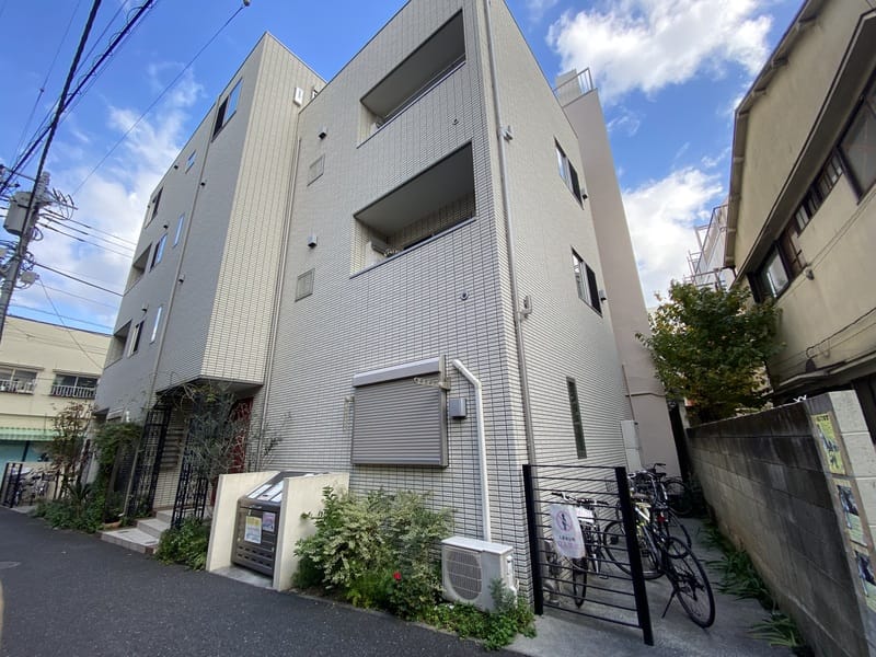 パティオフェリスの写真