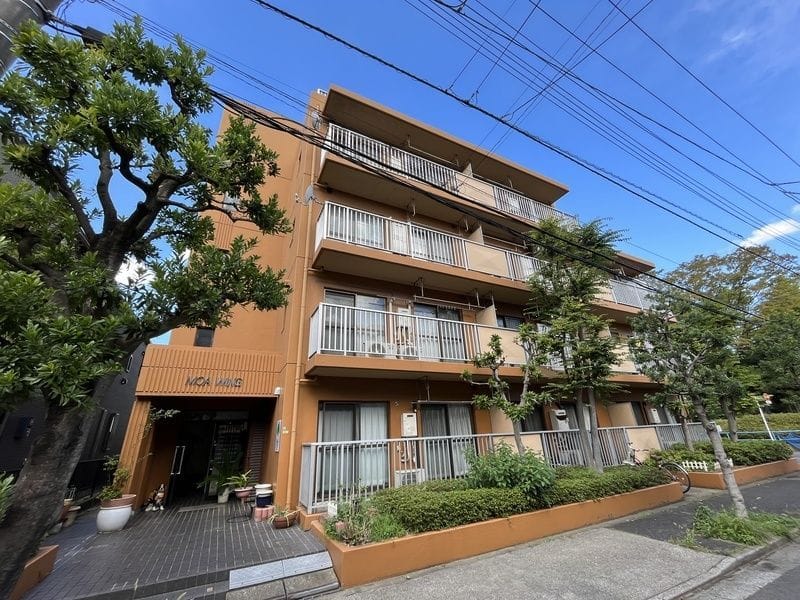 モアウイングの写真