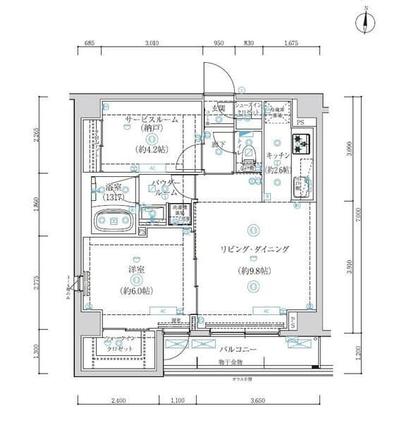 アルテシモグレイスの写真