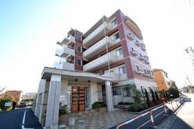 ルネ シェスタの写真