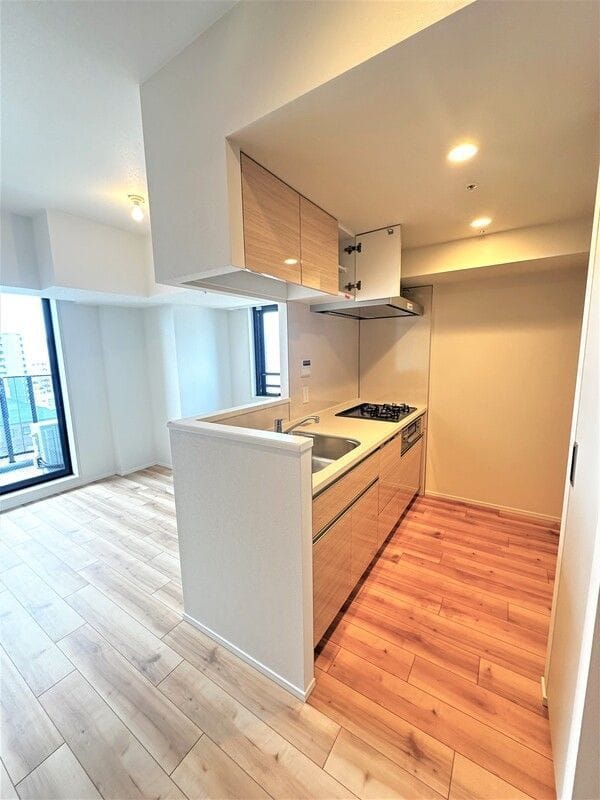 ONE ROOF RESIDENCE NISHINIPPORI 701