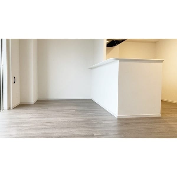 ラグゼナ秋葉原 1101