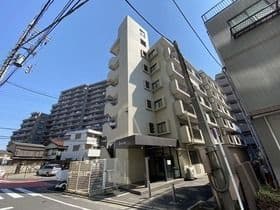 シンシアリー 205