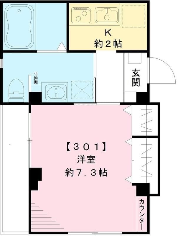 ラシーネ・テラス文京千駄木 301 間取り図
