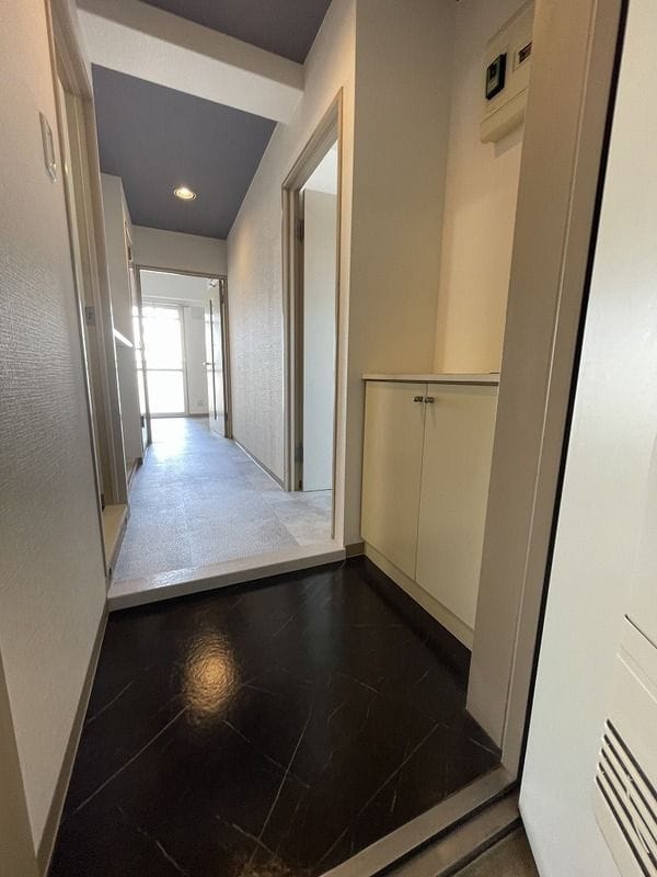 サニースカイ 501