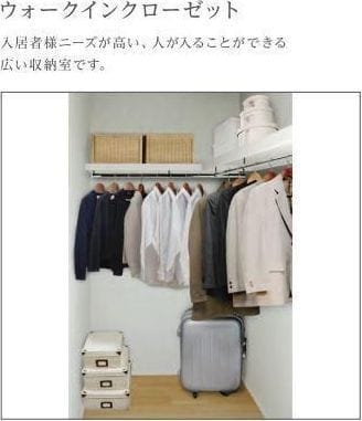 ヘリクリサム 102