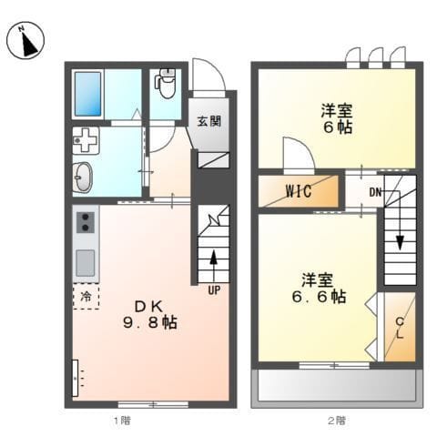 ヘリクリサムの写真