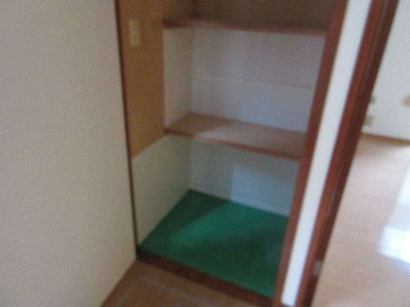 ニューライフ 104