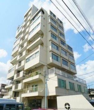 ヴィレッタ菊の写真