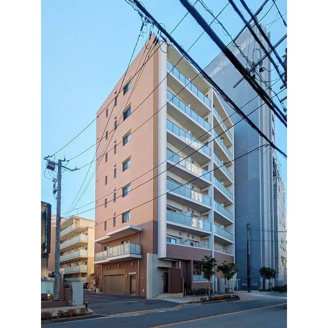 グレイス綾瀬の写真