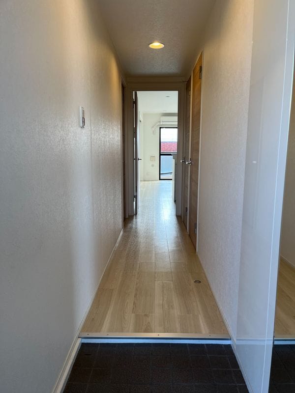 コーナスフロリダ 311