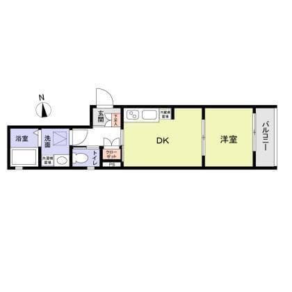 Lycoris西小山 101