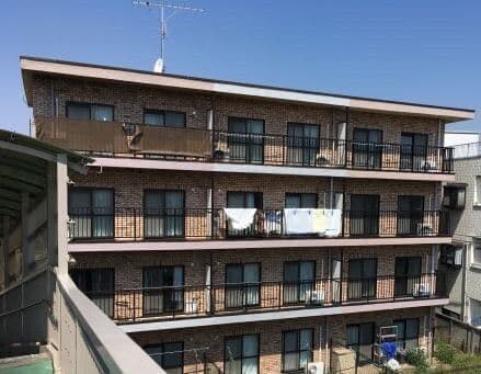 セシーズ・イシイ13 203
