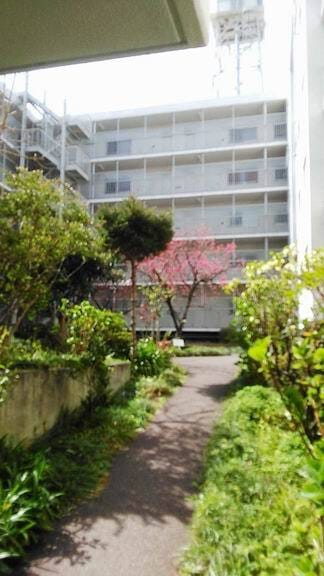 パイロットハウス北新宿 229