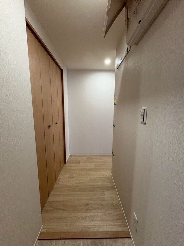 Lumineige 203