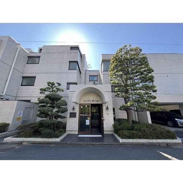 メイゾン等々力 205