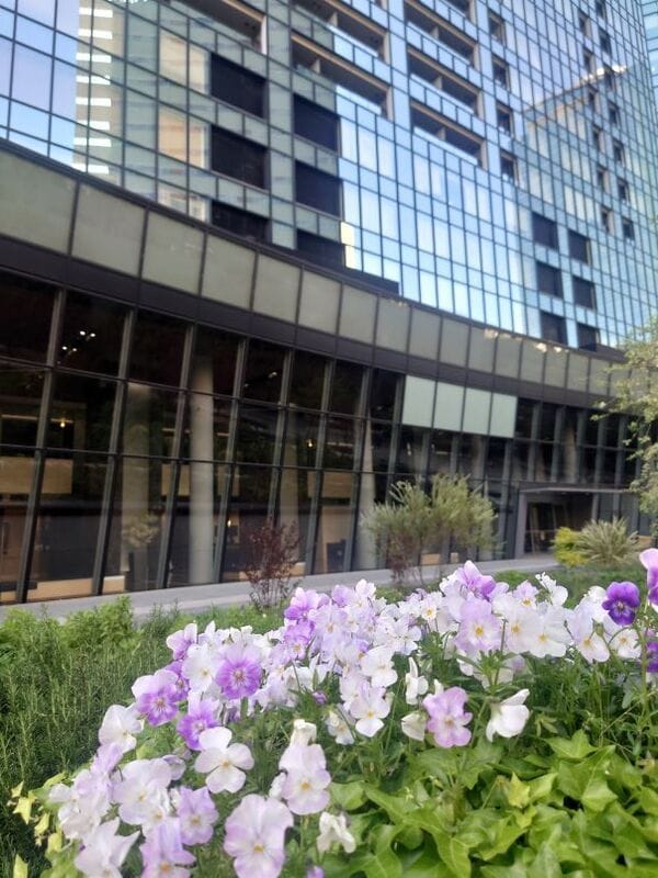 セントラルパークタワーラ・トゥール新宿 409